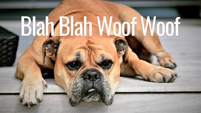Blah Blah Woof Woof