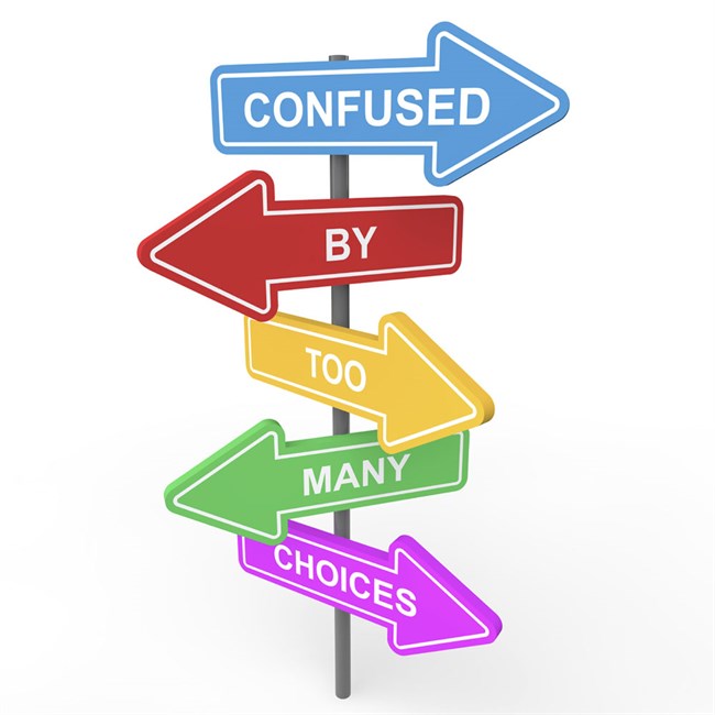 The Paradox of Choice: Who is the Website/SEO Partner for you?