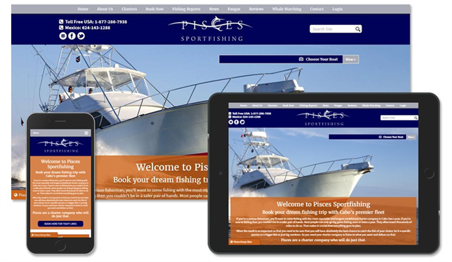 Why Professional Web Design is so Important for Your Business
